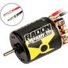 Motors & Accessories * | Special Asc27427 Reedy Radon 2 19T 3-Slot 3200Kv Brushed Motor (Team Associated)