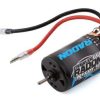 Motors & Accessories * | Special Asc27463 Reedy Radon 2 550 Crawler 5-Slot Brushed Motor (12T) (Team Associated)